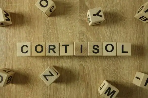 The Hidden Connection: How Stress Shapes Your Fitness and Body Composition 2 Image saying "Cortisol" and how stress Billingshurst impacts your wellbeing and bodies shape